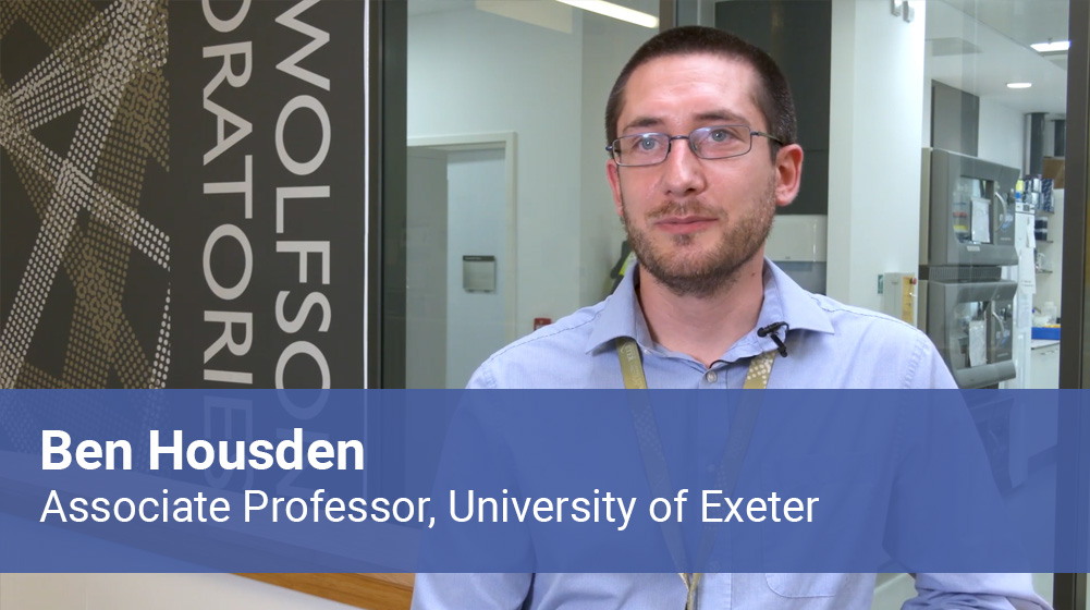 ben-housden-title-cards