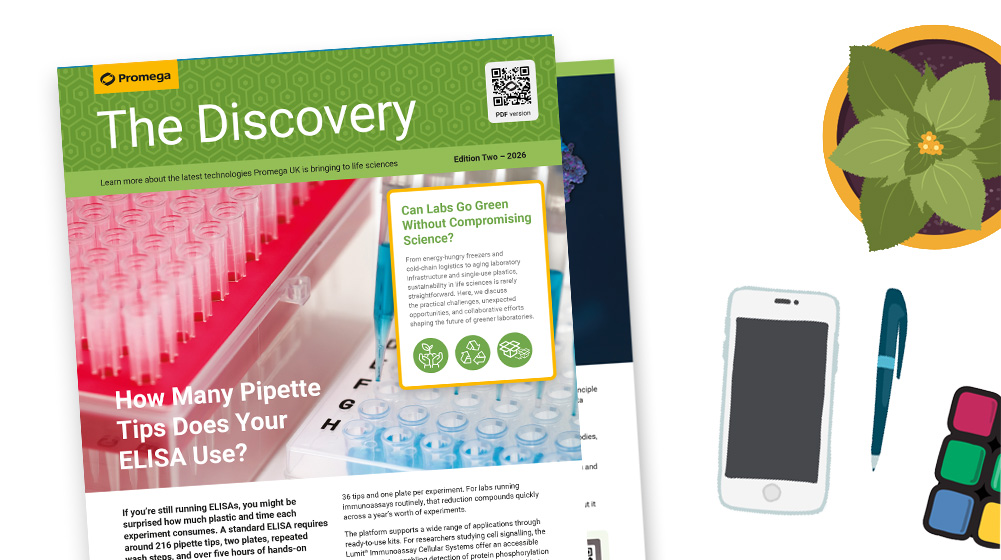 discovery-newletter-edition-2