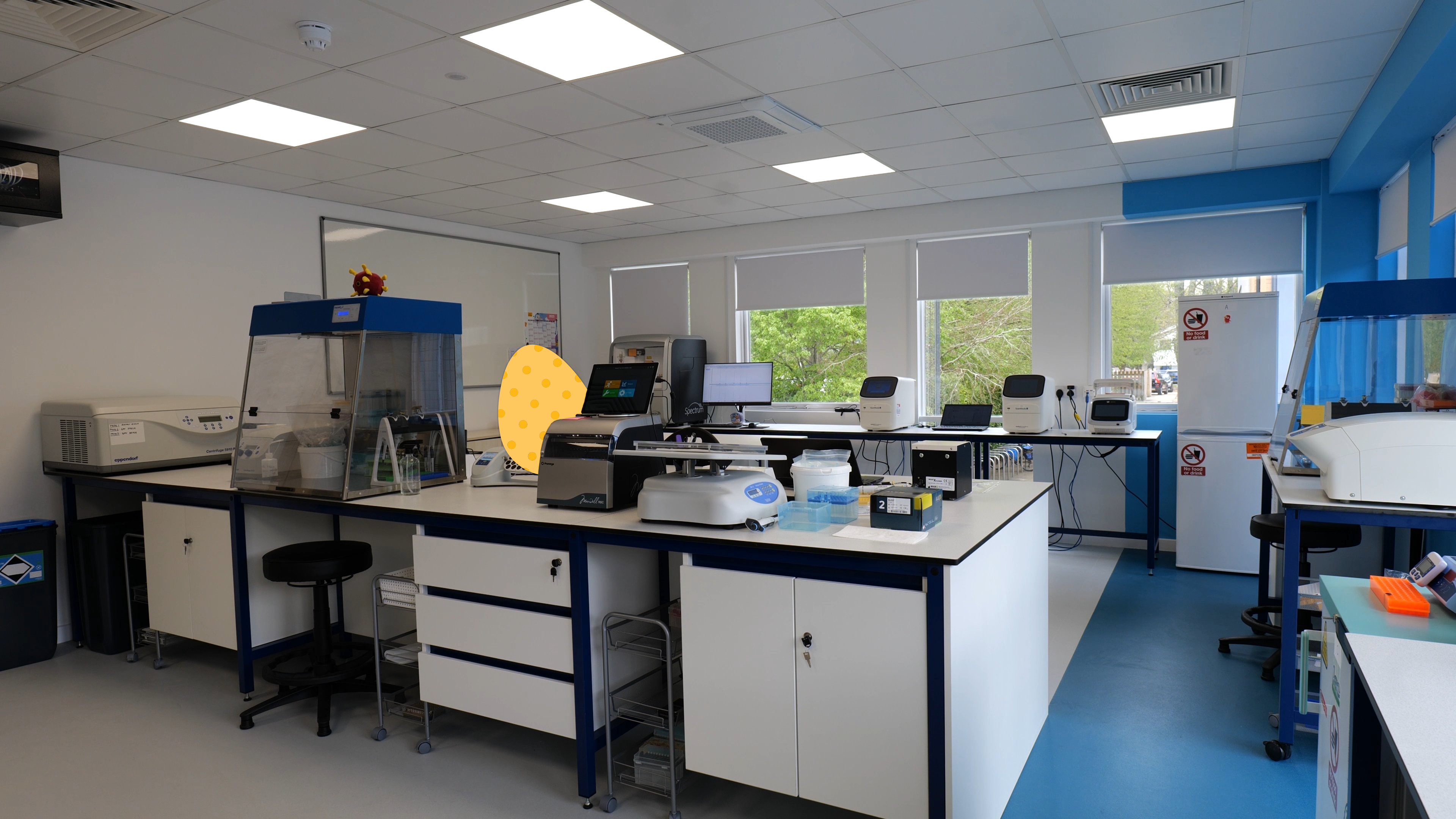 full-lab-shot-easter