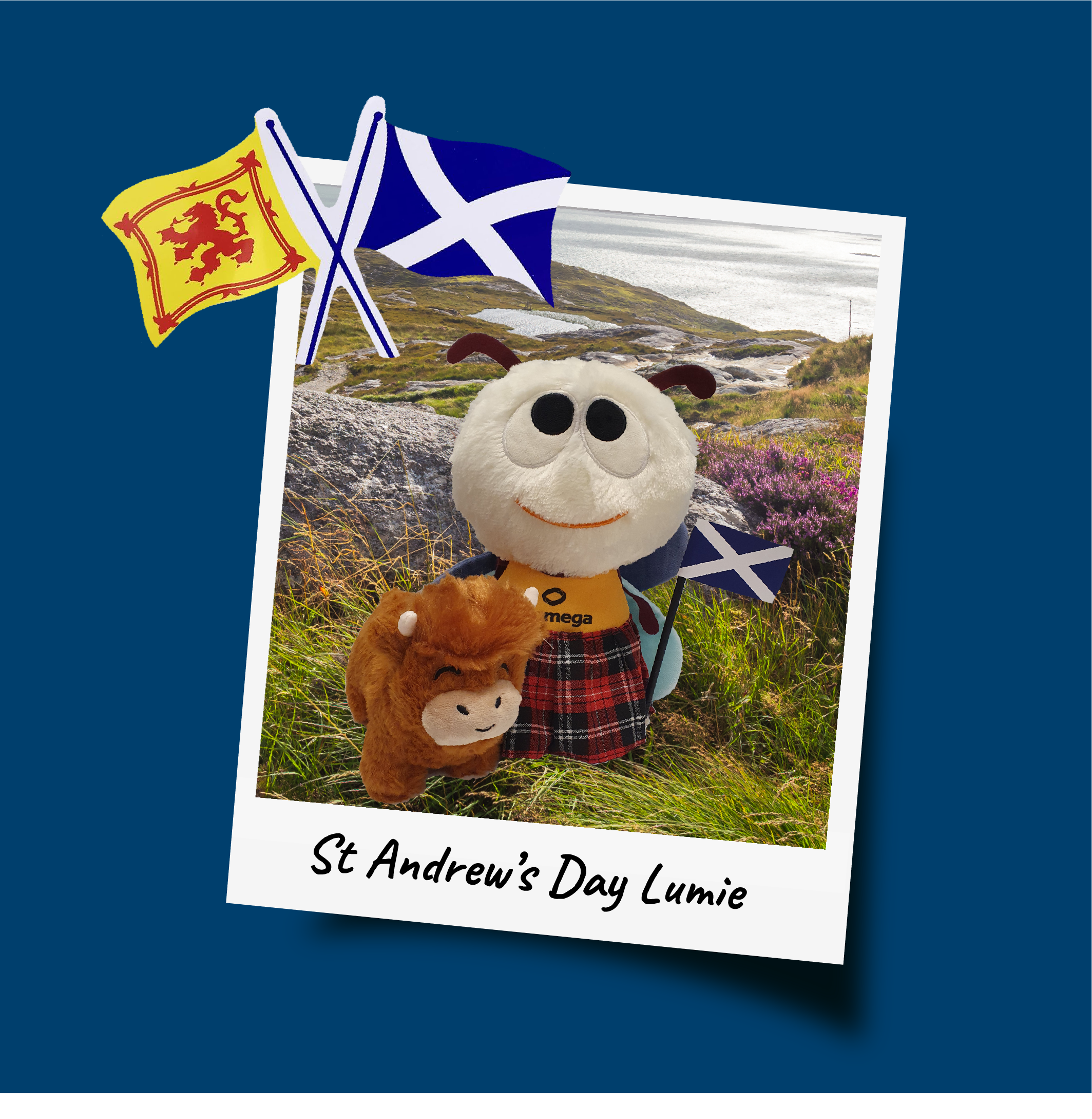 st-andrew-lumie-with-flags