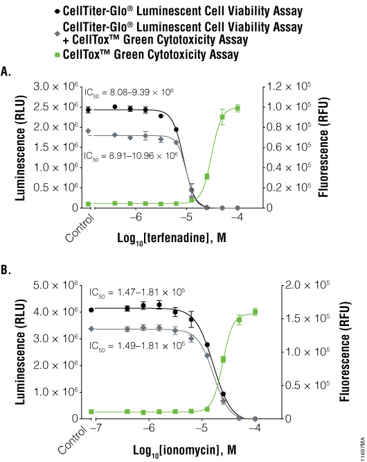 Multiplex assays with CellTiter-Glo® Viability Assay and CellTox™ Green Cytotoxicity Assay.