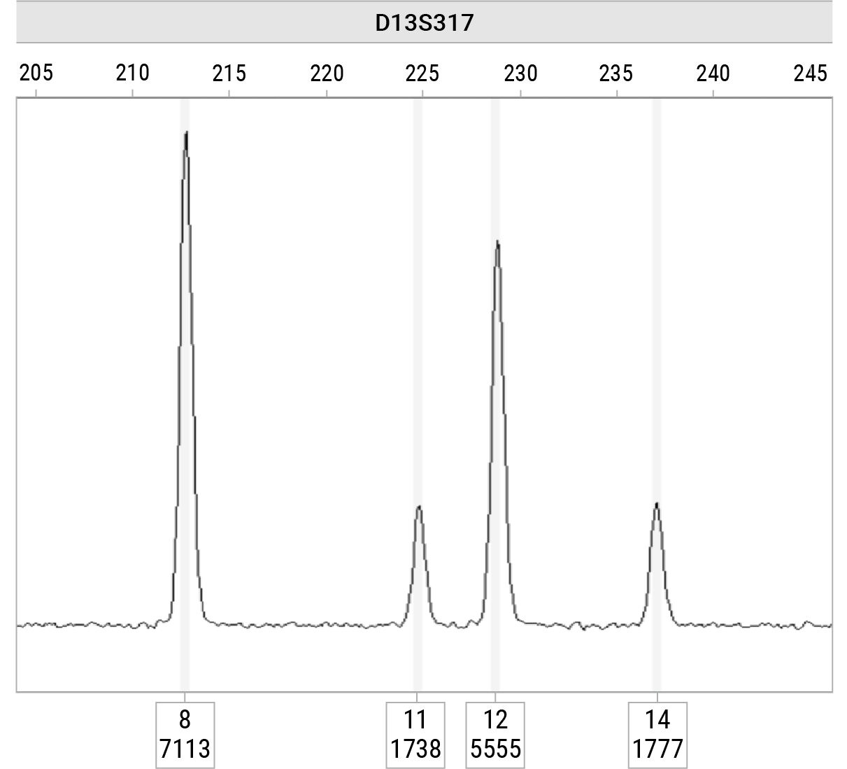 Electropherogram showing D13S317 locus results from a two-person mixture analyzed with the Paradyme™ 27GY STR System. Distinct peaks are displayed at allele positions 8–14, demonstrating improved mixture interpretation compared to the non-RSP system.