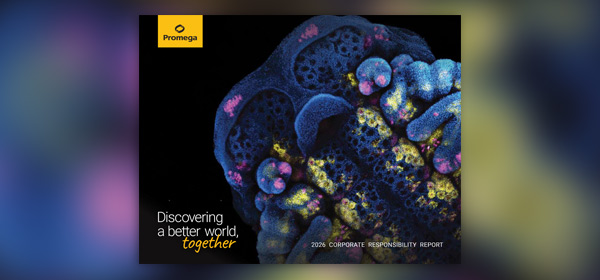 msbea-1089-cover-2026